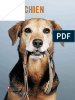 Mon Chien PDF