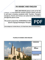  Plurals in Arabic and English