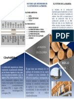 Informe Ejecutivo - Madera