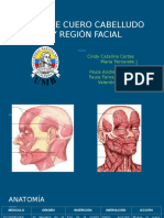 5 - Masaje CraneoFacial