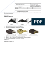 Taller 3 - Evidencias de Evolucion - Actividades