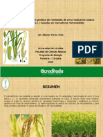 Análisis de Diversidad Genética de Variedades de Arroz Tradicional Cubano (Oryza Sativa L.) Basadas en Marcadores Microsatélites