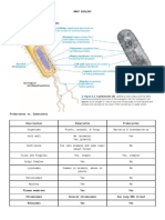 Nmat Biology Cell Biology 1.1 Eukaryotic & Prokaryotic Cells