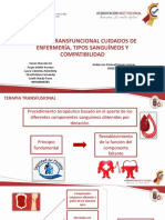 Terapia Transfuncional