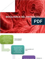 Bioquimica Del Eritrocito