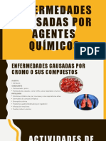 Enfermedades Causadas Por Agentes Químicos