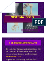 SISTEMA OSEO 3ero PDF