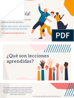 Qué Son Lecciones Aprendidas PDF