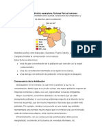 Distribución de La Población Venezolana