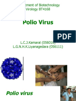 Polio Virus: Department of Biotechnology Virology BT4168