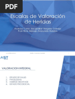 Clase de Escala de Valoración de Heridas