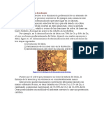 Corrosión Selectiva o Desaleante: Figura 12.15. Ejemplo de La Descincificación Del Latón