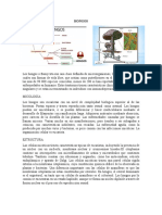 Microbiologia 2