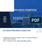 Procesos Cognitivos