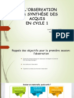 De L Observation A La Synthese Des Acquis - 2emeanimation