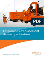 11261514378981pompes D Puisement Godwin