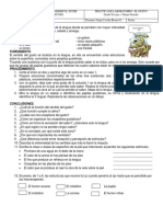 Practica de Laboratori No. 1 El Gusto PDF