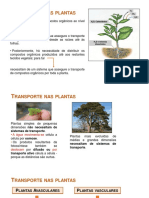 BIOLOG 10 Aula 4 1 Maio