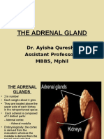 ADRENALS