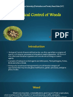 Biological Control of Weeds: DR Yashwant Singh Parmar University of Horticulture and Forestry Nauni Solan (H.P.)