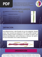 PDF Documento