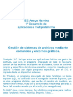 1.9gestión de Sistemas de Archivos