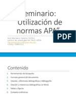 Seminario APA PDF