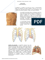 ACV Coração PDF