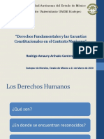 2020 - Derechos Humanos y Sus Garantías