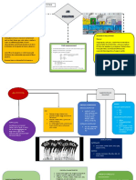 Mind Map Air Pollution (Ahmed Qutb Akmal Bin Sajali)