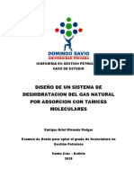 Deshidratacion Del Gas Natural Por Adsorcion Con Tamiz Molecular