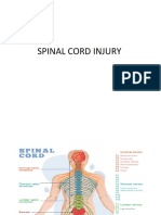 Spinal Cord Injury