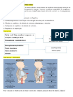 Resumo Respiratoria