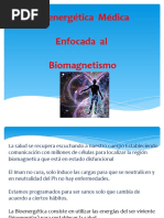 Bioenergetica Segundo Nivel