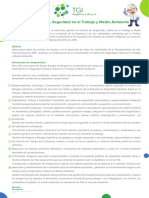 Política de Salud, Seguridad en El Trabajo y Medio Ambiente