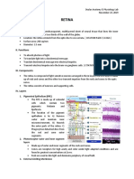 Retina: I. Characteristics