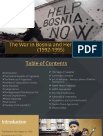 The War in Bosnia and Herzegovina