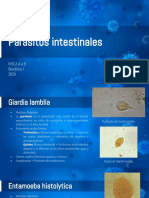 Parasitos Intestinales PDF