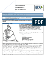 Guía 1 Sistema Axial Cabeza