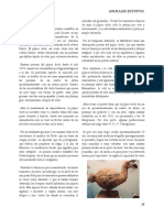 El Pajaro Dodo