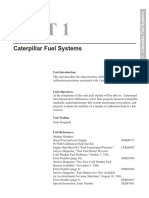 UNIT1L1S Cat Fuel Systems PDF