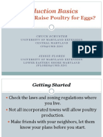 Egg Production Basics PDF