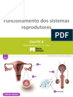 Funcionamento Dos Sistemas Reprodutores PPT