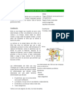 Patología de Sistema Renal