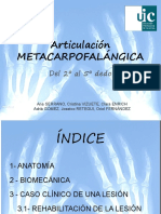 Articulación METACARPOFALÁNGICA