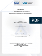 Plantilla de Trabajo Actividad Individual Fase 1 Psicobiologia.