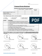 Handout - Cell Transport Review Worksheet