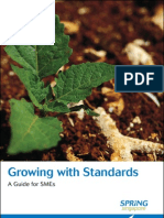 Growing With Standards: A Guide For Smes