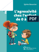 Agressivite Chez L'enfant de 0 A 5 Ans, L' - Sylvie Bourcier