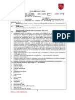 Guia Practica Lab 4. Peroxidos